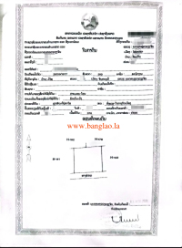 T00311